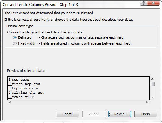 Excel - Text to Columns Function Step 1