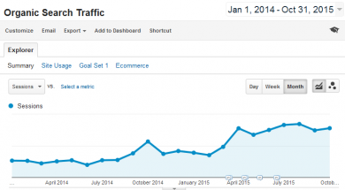 Travel E-commerce Website Case Study - Increase Organic Search Traffic by 150%